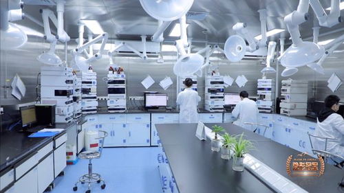 六元環三劍客 二十年死磕分子砌塊，讓中國技術嵌入全球藥脈